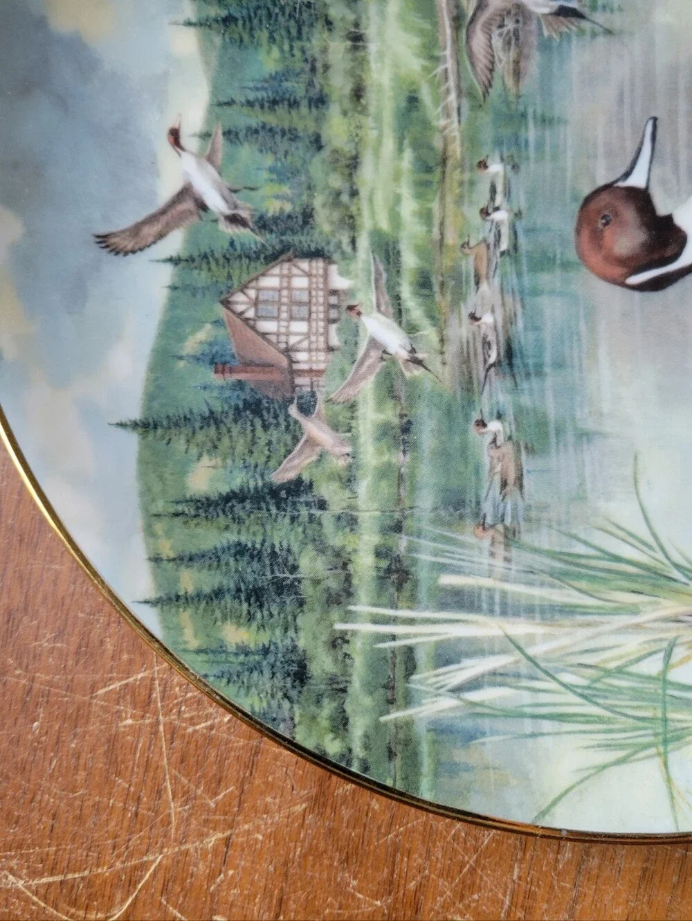 The Wildlife Society Knowles Bart Jerner Game Bird Plate The Pintail COA VCHAH